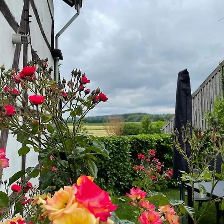 Hotel Vakantiewoning In 5* Geuldal